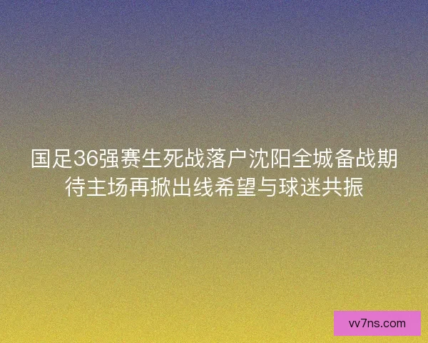 国足36强赛生死战落户沈阳全城备战期待主场再掀出线希望与球迷共振